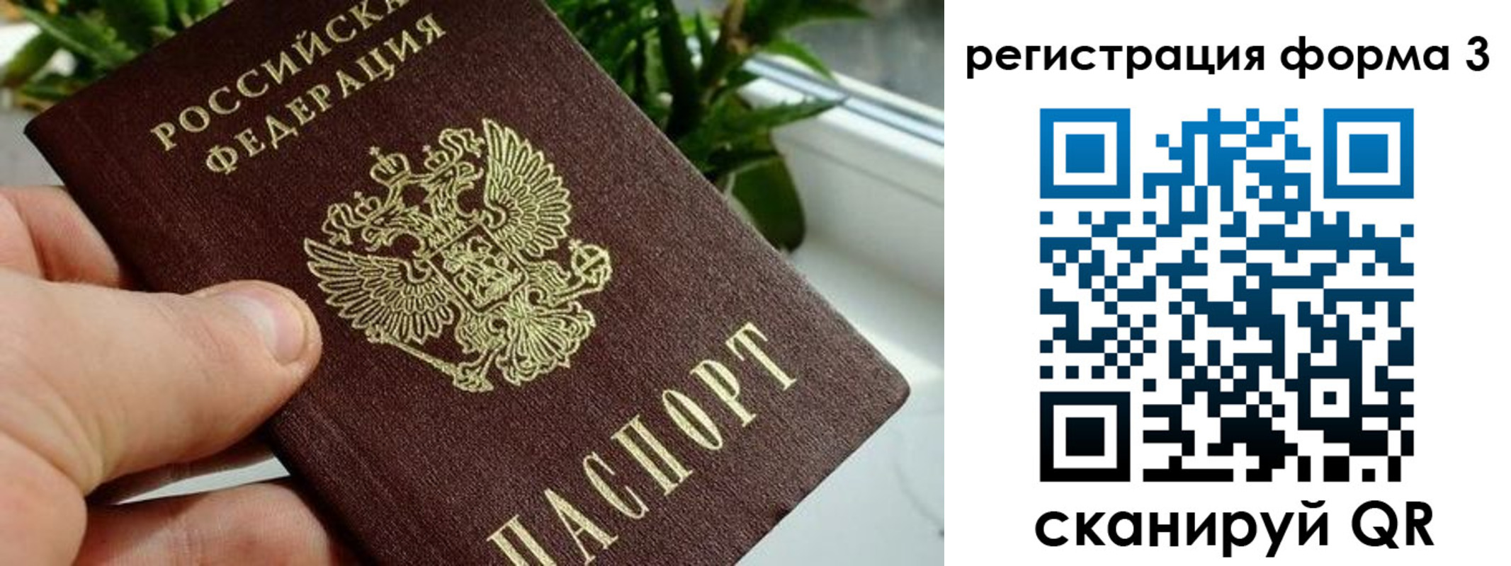 прописка штамп в Тырныаузе